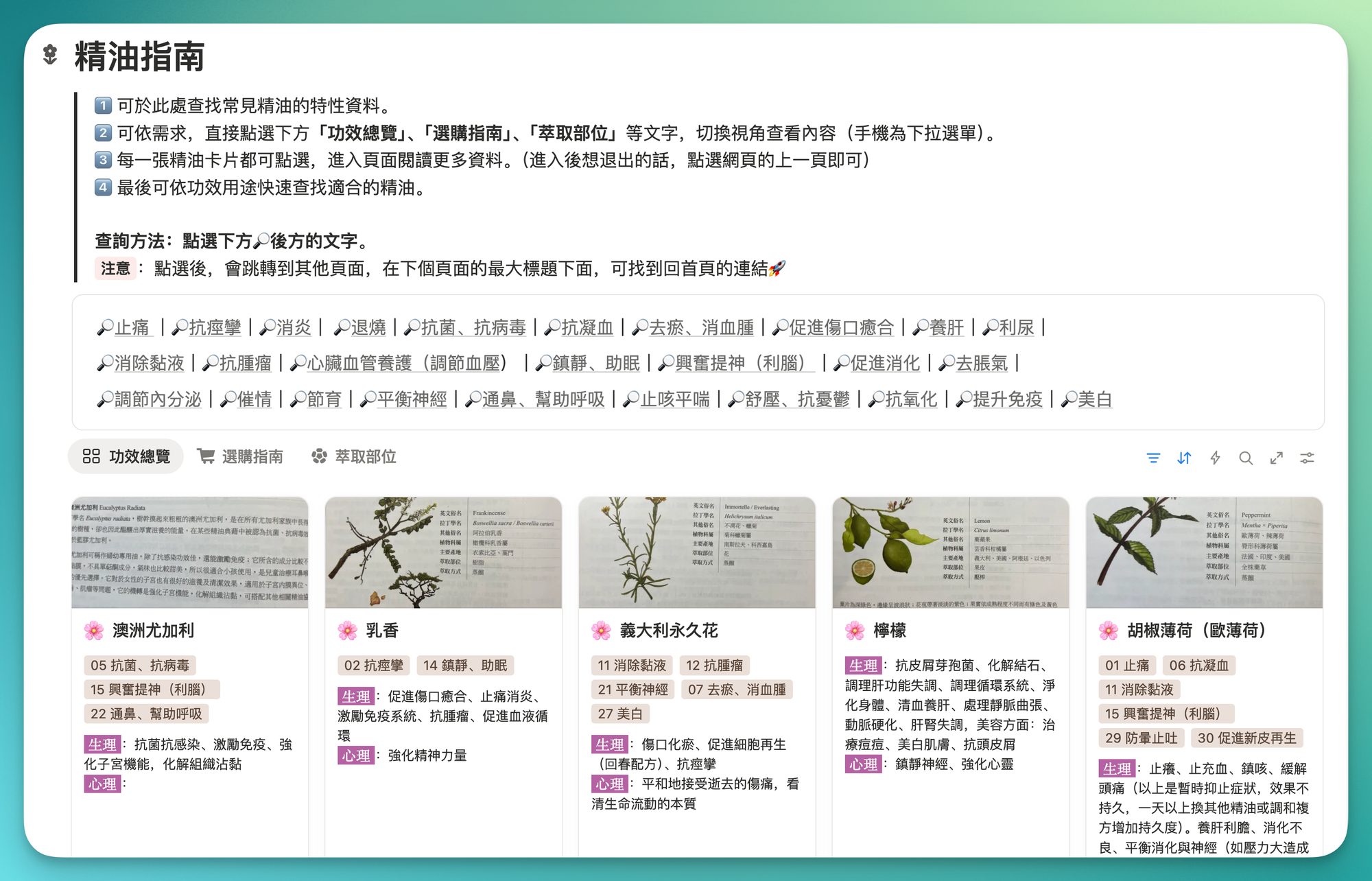 Notion 芳療圖書館怎麼做？用資料庫打造專業精油整理系統 配圖 2