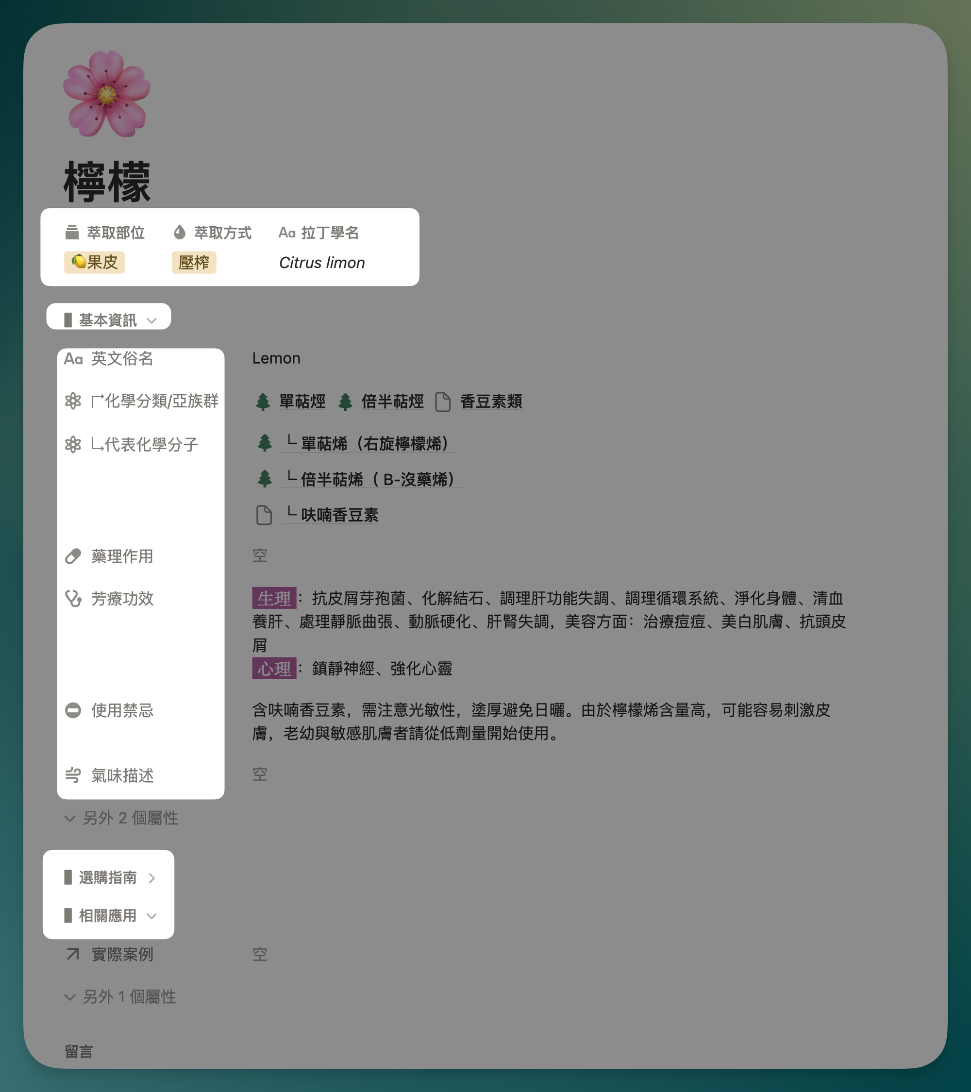 Notion 芳療圖書館怎麼做？用資料庫打造專業精油整理系統 配圖 3